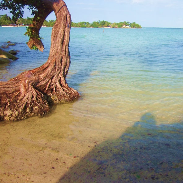 Visitar la Isla Tamalcab 